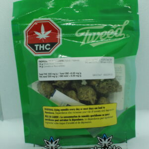 Tweed Gelato Slushie 14g
