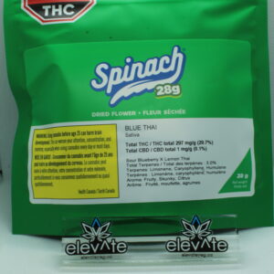 Spinach Blue Thai 28g