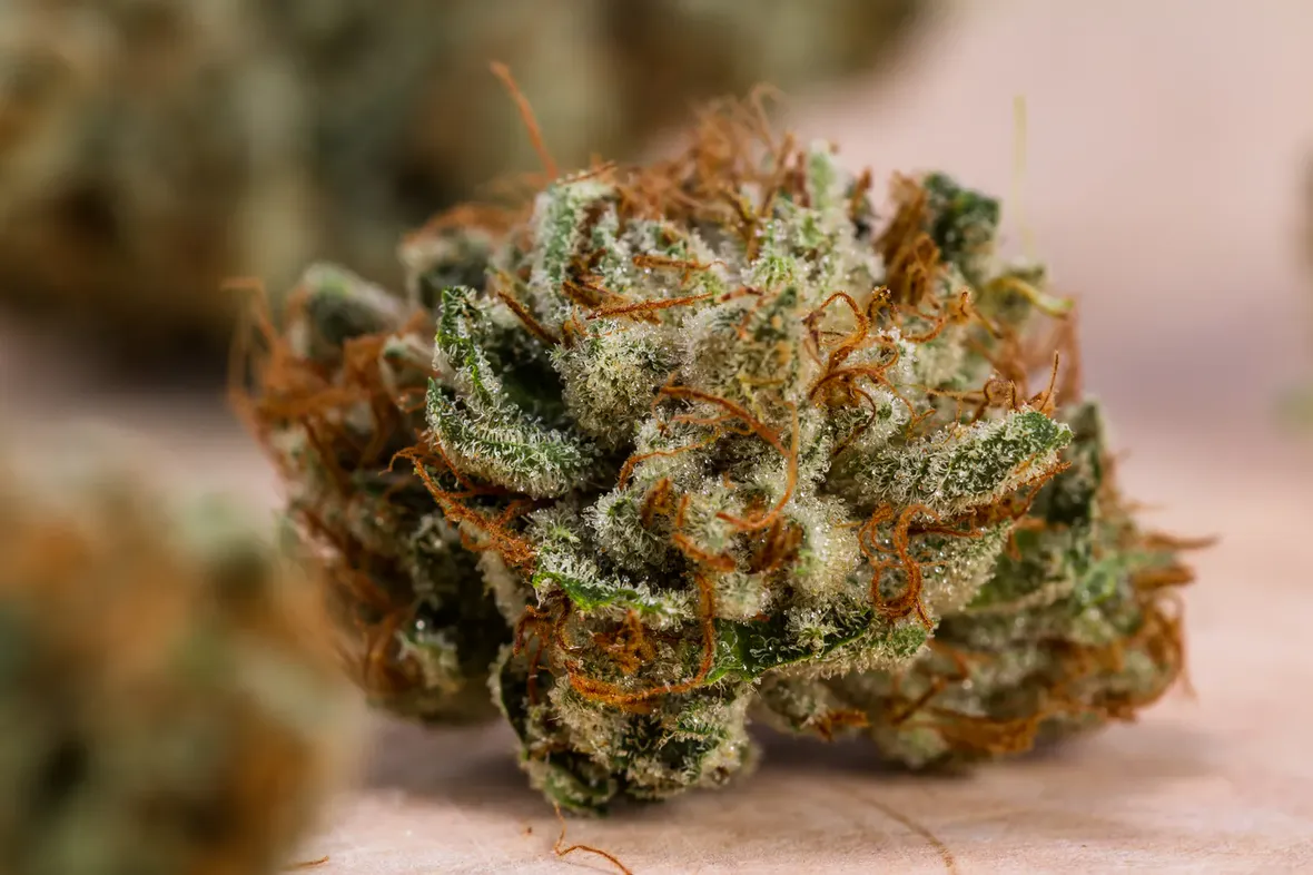 Seven Years of Cannabis Retail in Edmonton: What’s Changed Since 2018
